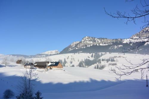 Apartamento Ferienwohnung P�reiterhof