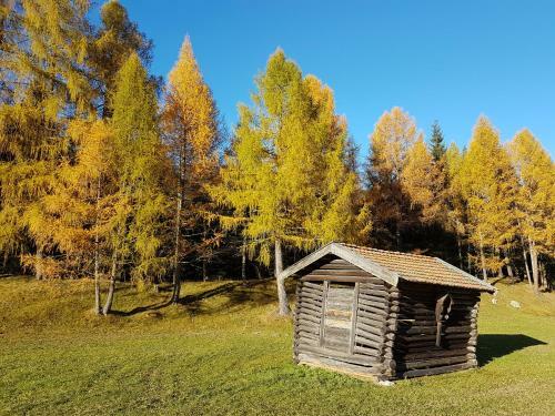 Apartamento Ferienwohnung Gattererhof