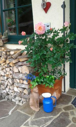 Apartamento Holdh�usl