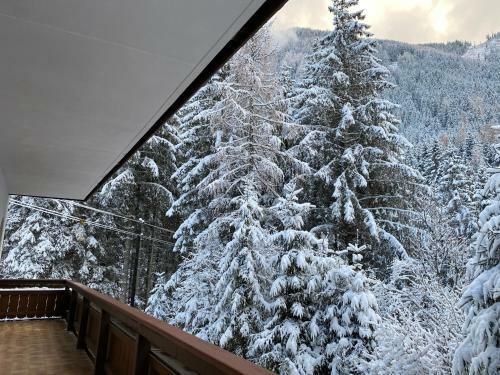 Hostal Chalet Janer