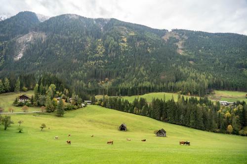 Hostal Chalet Janer