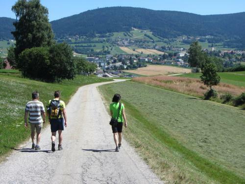 Apartamento Ferienwohnung Felhofer