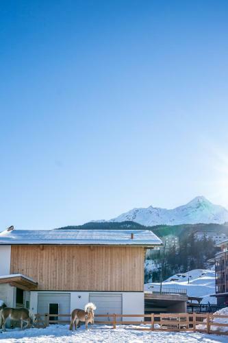 Apartamento Bauernhaus Martinus