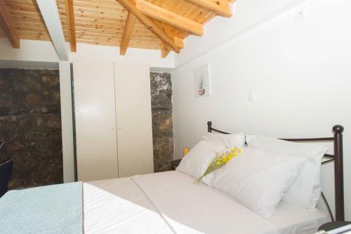 New Hope, Studio With Pool Near The Beach