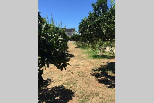 Apartamento The Orange Grove Garden Room