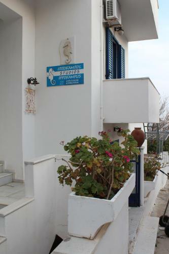 Apartamento Hippocampus Studios 2' Walk From The Sea