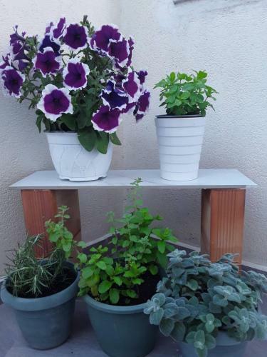 Apartamento Kiriaki's House