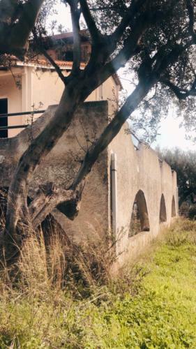 Villa Elnina