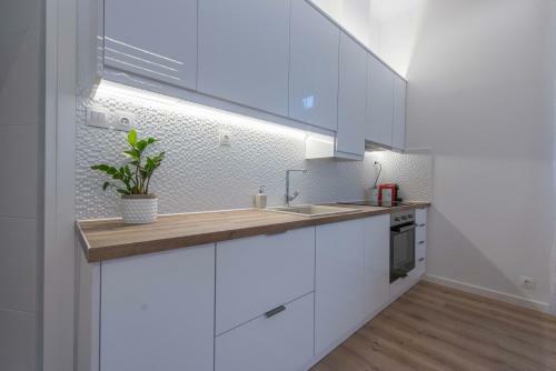 Apartamento 1571_suites A1