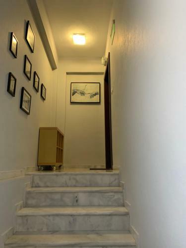 House White Ball