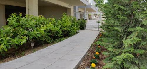 Chelona Apartments