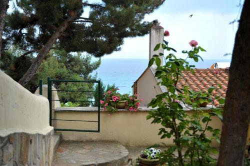 Aiolos Home