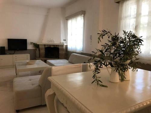 Villa Veneti - Probio - 140m2