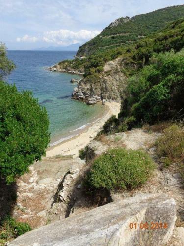 Apartamento Odyssea Guest House