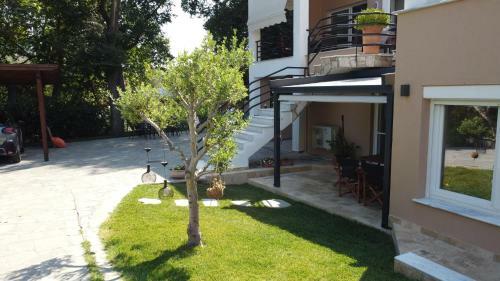 Dioni Luxury House