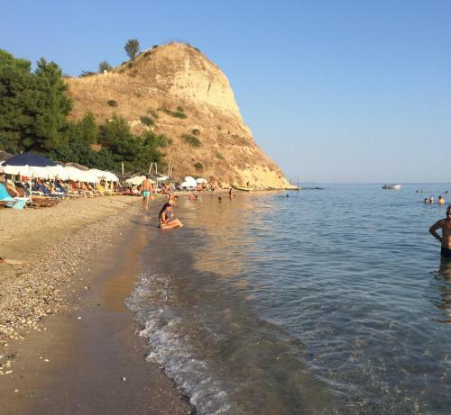 Sea View Villa In Olive Garden