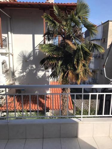 Apartments Alexandrou 1