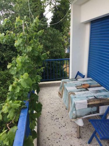 Apartment Vakilis