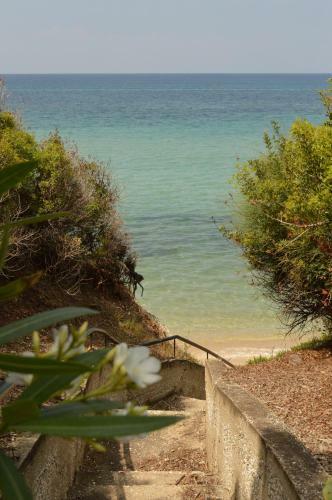 Beach House