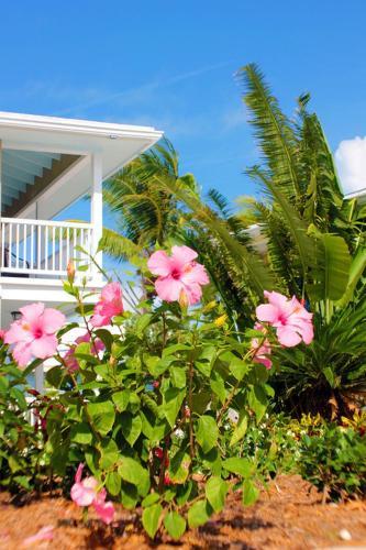 Hotel Exuma Beach Resort