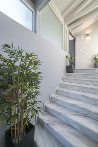 Vida Residential Apartments
