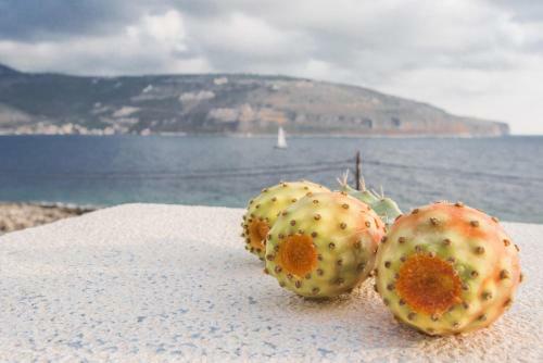 Apartamento Alkyon Seaside Studios