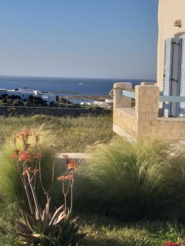 Villa Ninemia Mjf