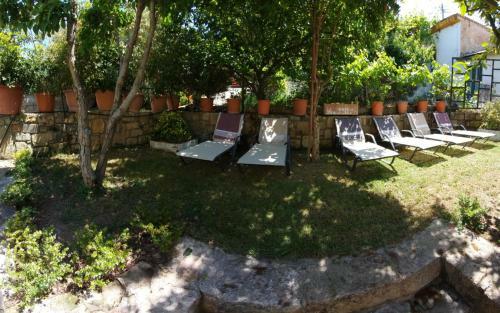 Apartamento Cactus