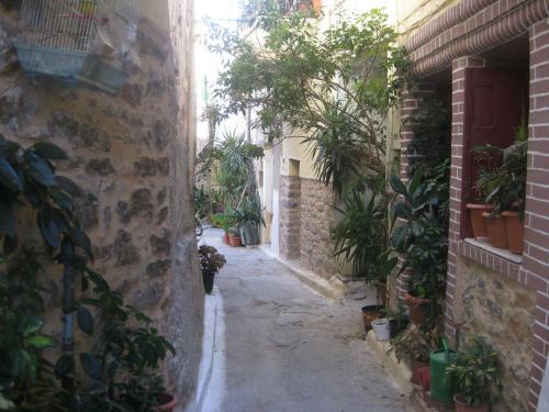 Hostal Traditional Rooms-hostel