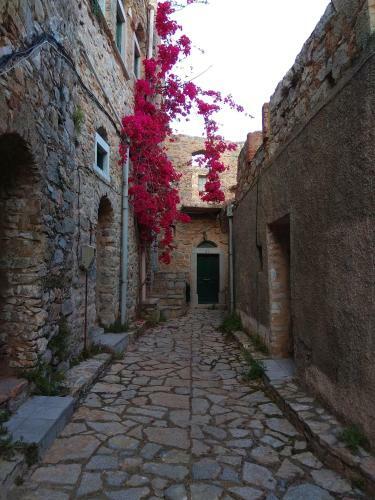 Hostal Traditional Rooms-hostel