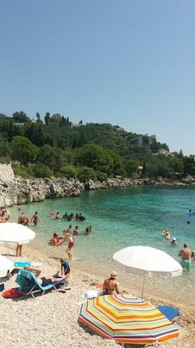 Apartamento Amalia Complex