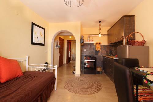 Viki Nissaki Apartment