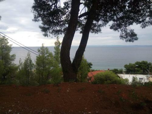 Pefkonas Apartments2 100 M From The Beach