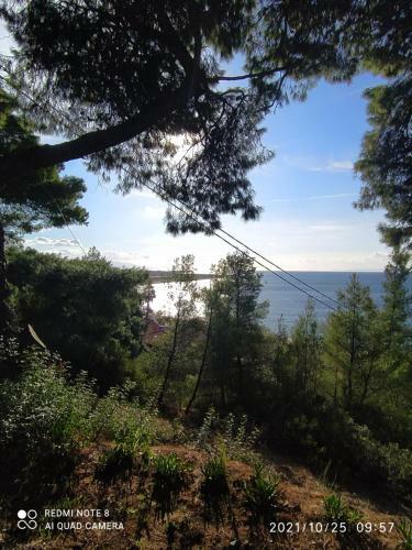 Pefkonas Apartments2 100 M From The Beach