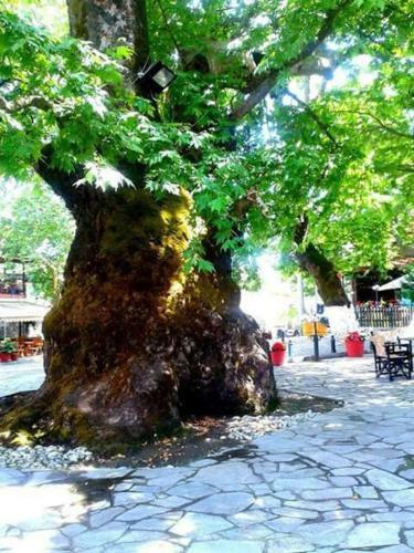 Hostal Guest House Sakis.