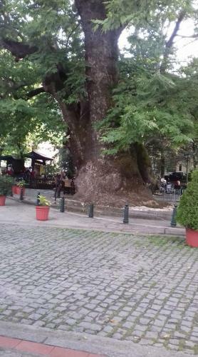Hostal Guest House Sakis.