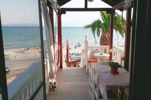 Apartamento Palm Garden Villa