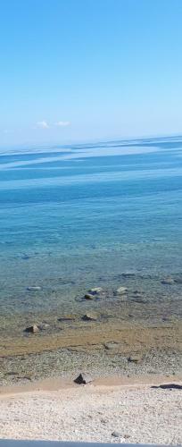 Apartamento Albatross Seafront House