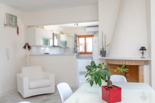 Apanemi Beachhouse