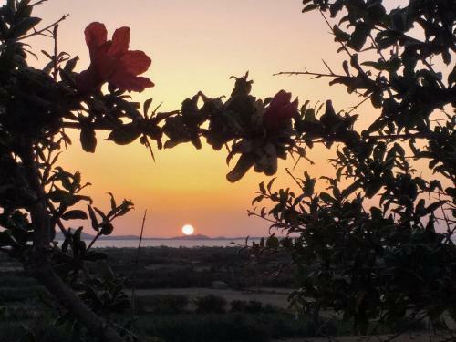 Naxian Vacation With Sea View