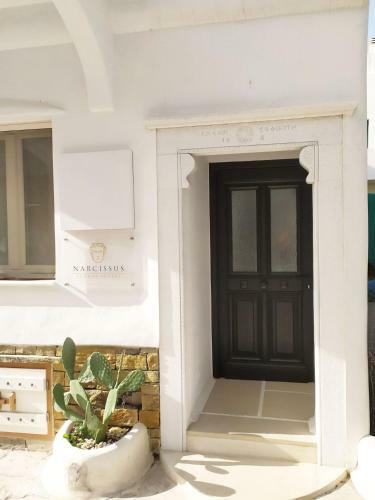 Villa Narcissus Luxury Suites
