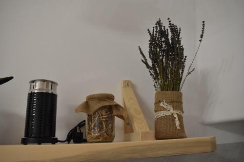 Apartamento Naxian Castillo