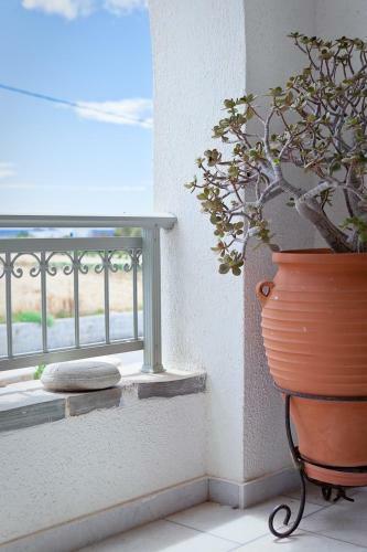 Aegean White Apartments