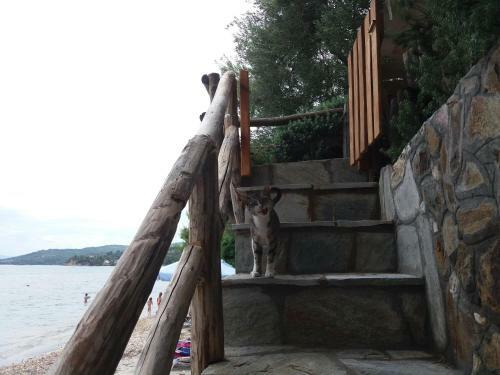 Apartamento Mare Nostrum
