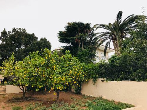Athenian Riviera Family House