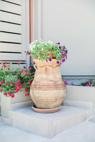 Apartamento Comodo
