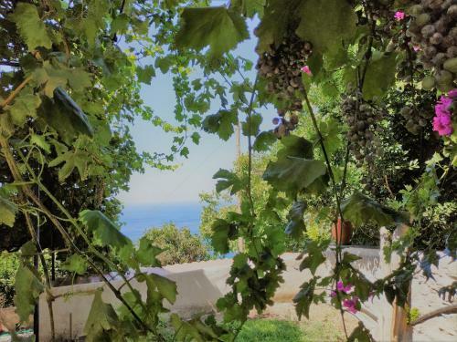 Apartamento Palaiopoli View Studio