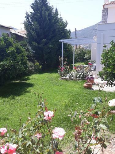 Apartamento Aloe Apatrment In Epidaurus