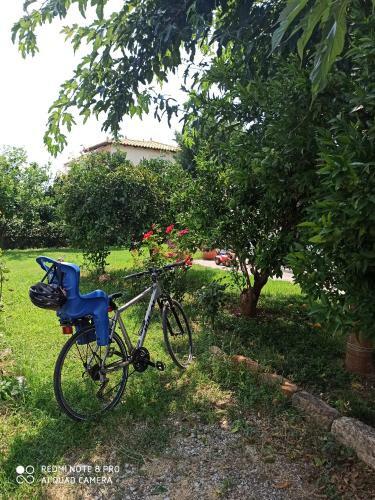 Apartamento Aloe Apatrment In Epidaurus