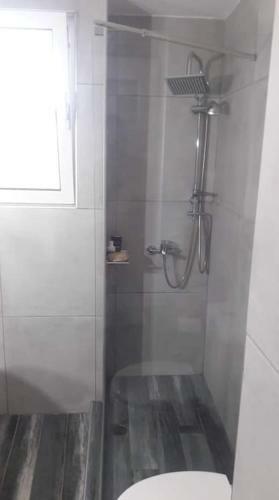 Apartamento Diktynna Villa